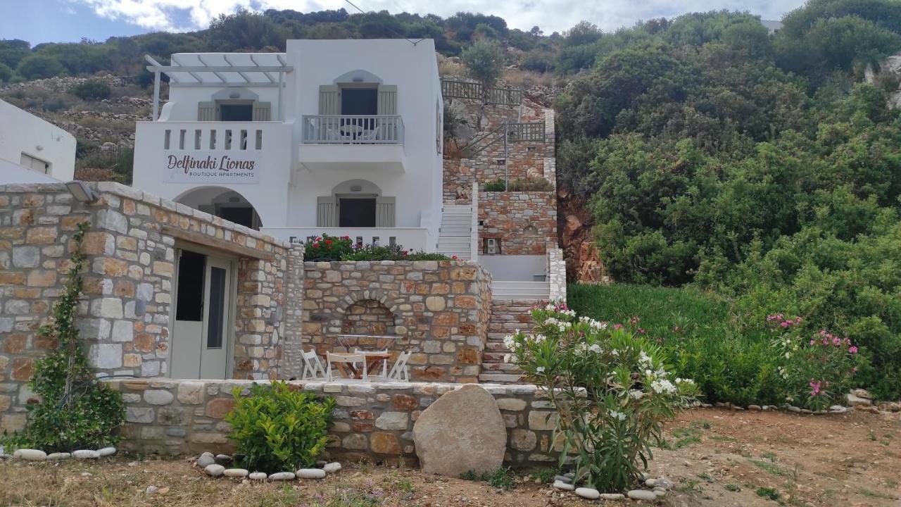 Villa Delfinaki Lionas Kültér fotó